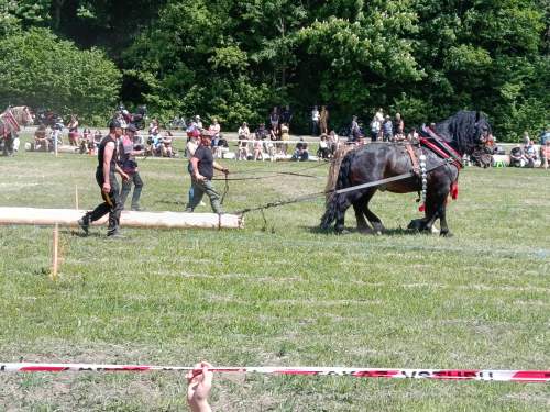 IMG_20260523_141353